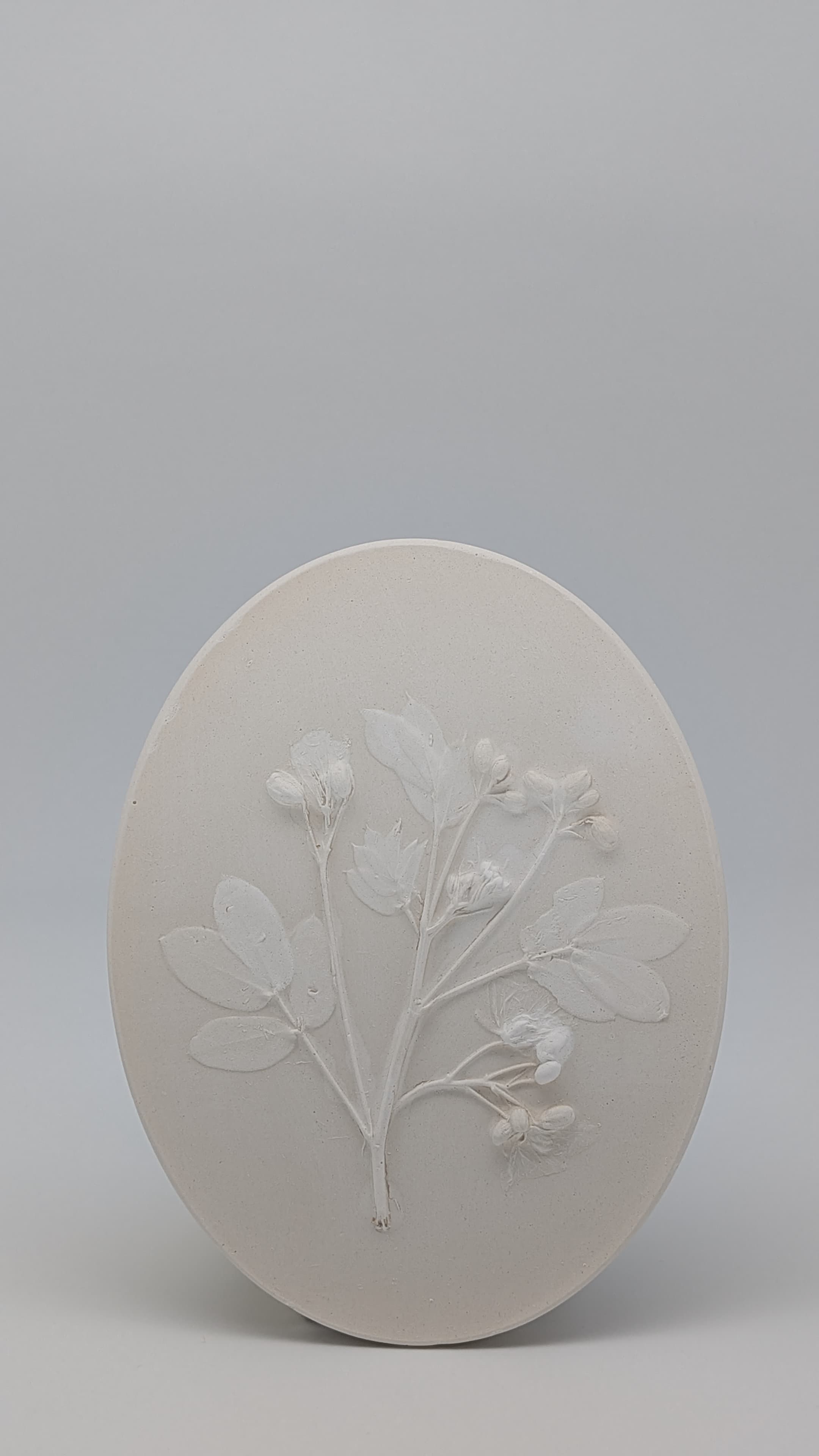 Blossom - Thumbnail 4