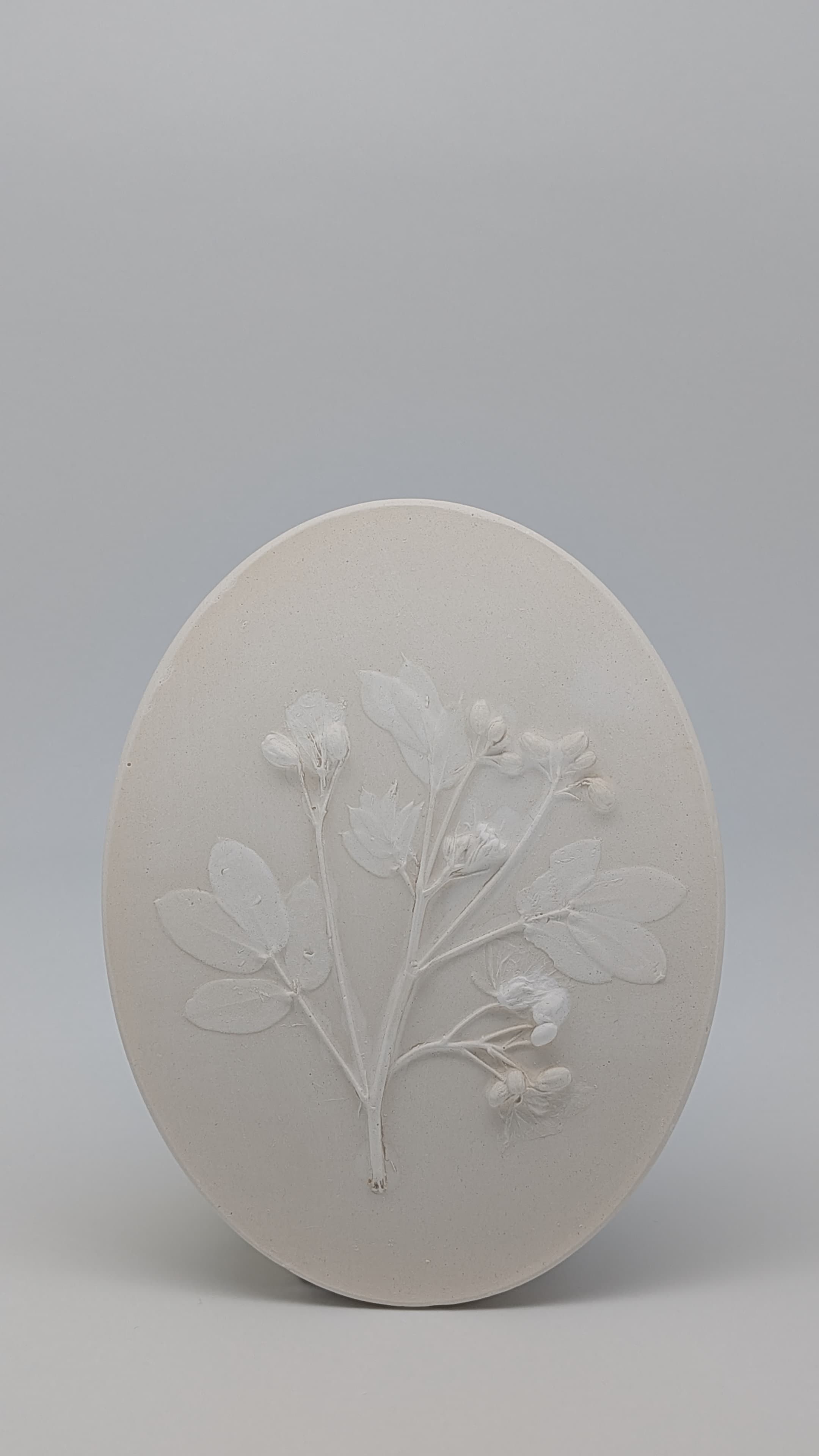 Blossom - Thumbnail 5