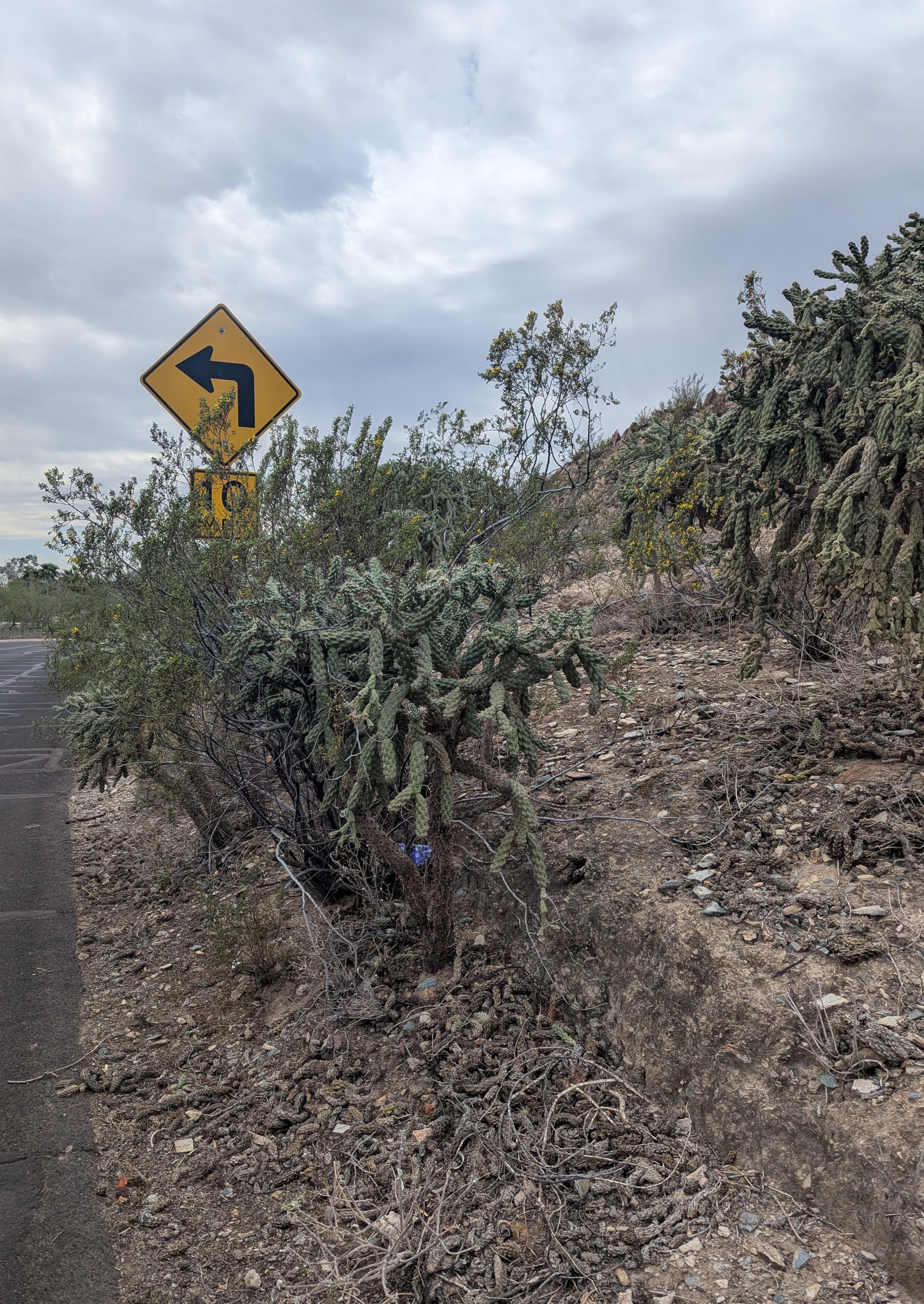 Cheers - Thumbnail 3