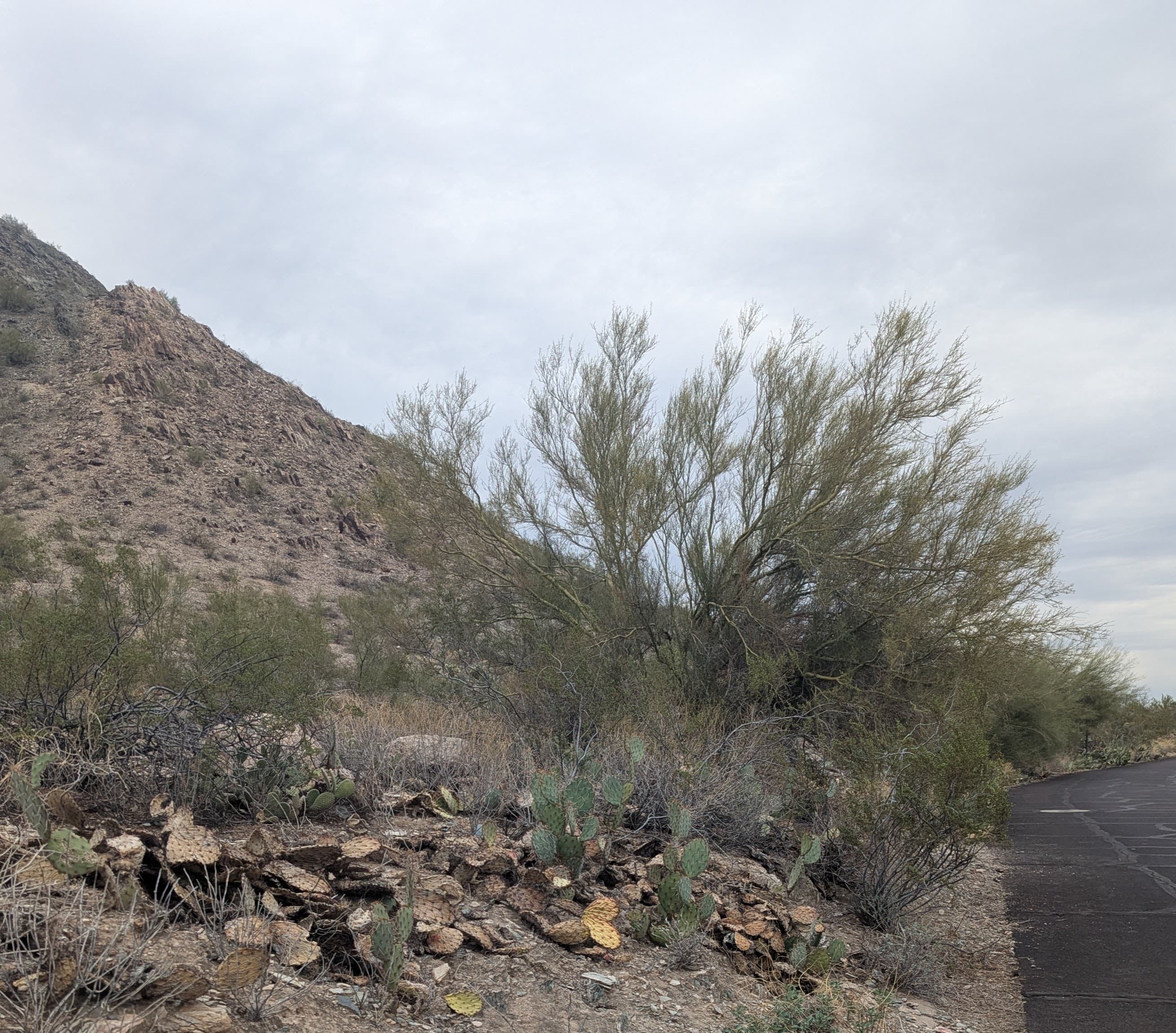 Cheers - Thumbnail 4