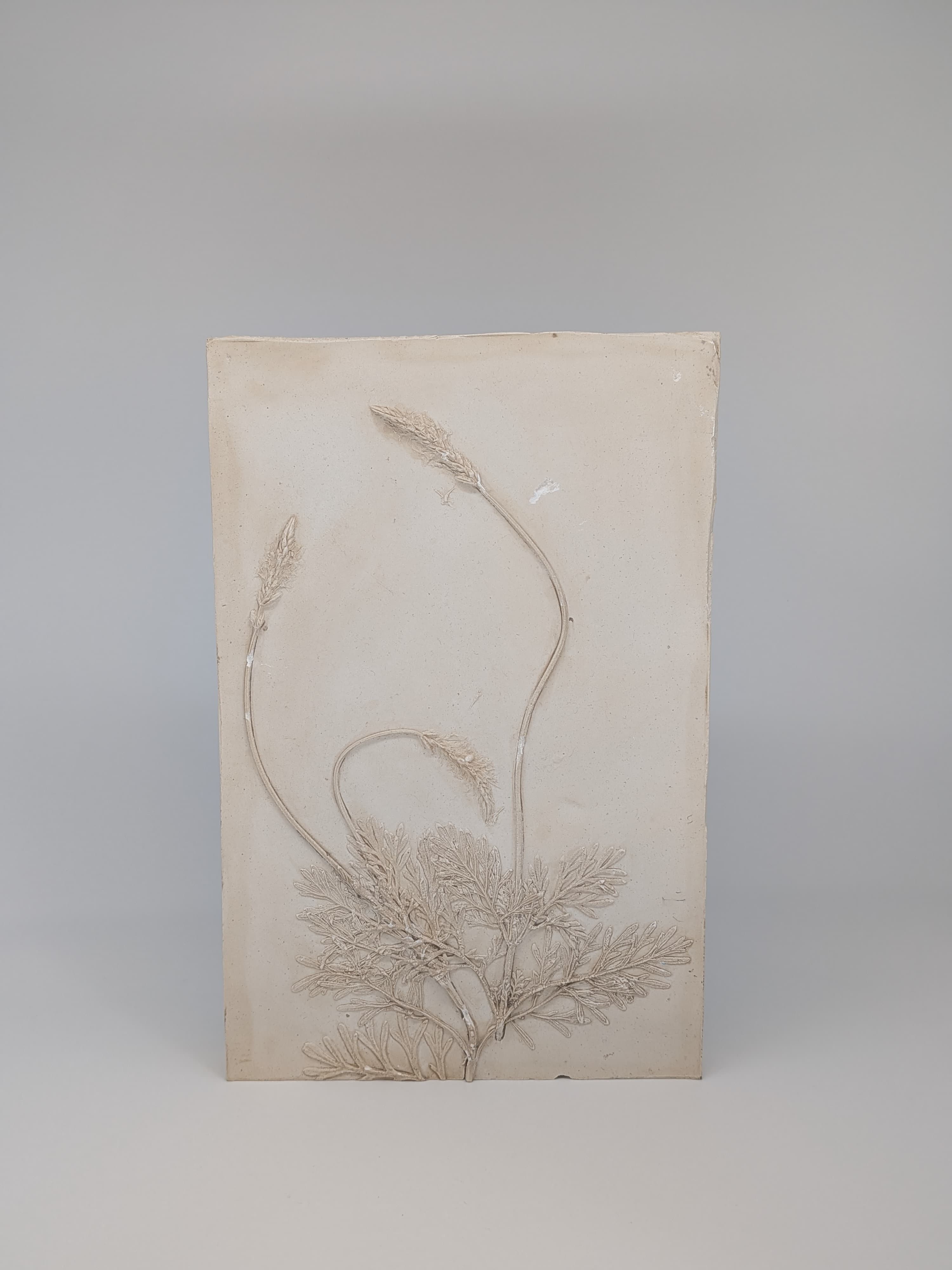 Spill The Tea - Thumbnail 2